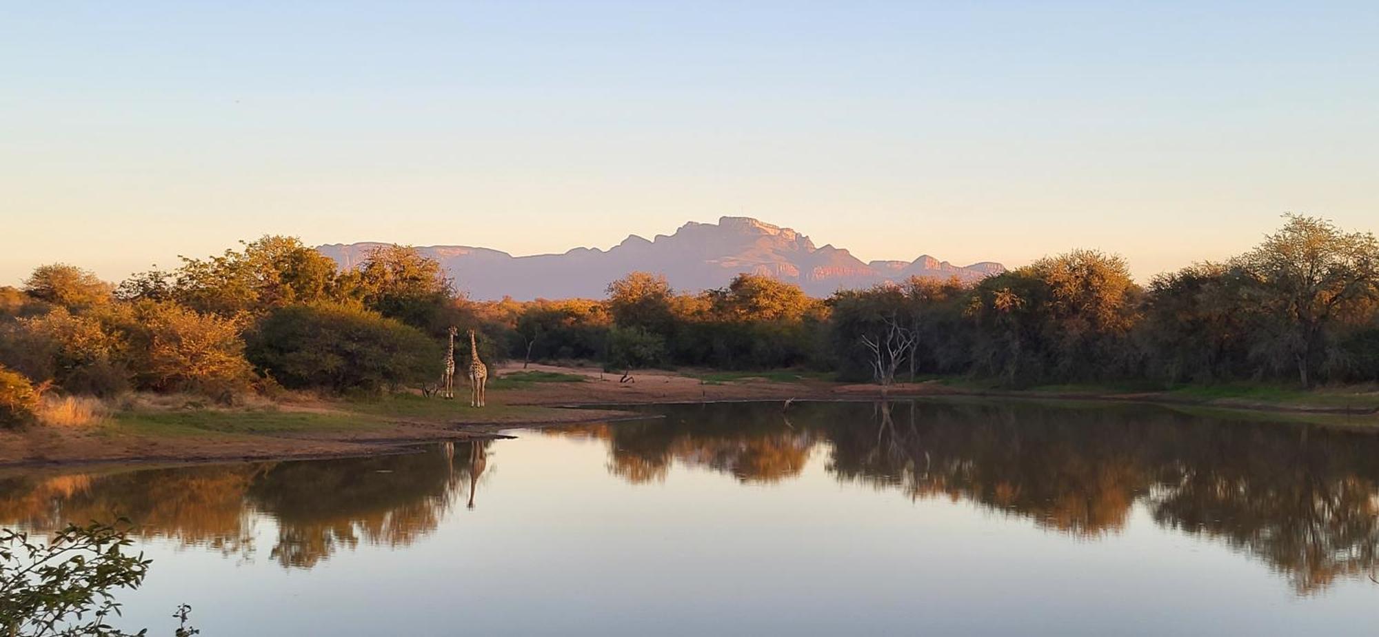 Villa Lanterfant - Luxury Stay In Nature - Solar Powered Hoedspruit Exterior foto